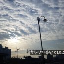 쫑아네 이미지