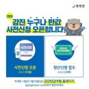 다원농장 | 강진반값여행으로 다녀온 백운동 원림, 설록다원, 무위사