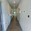 이목1535 이미지