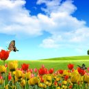 이*학 - 미추홀구 소성로318번길 10-23 | 이*학