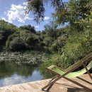 매일온천 이미지