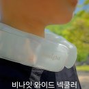 얼음목걸이 추천 가성비 좋은 캠핑 넥쿨러 비나잇 실사용 후기!
