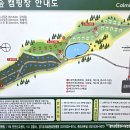명당 스테이 | 포천 울미숲 오토캠핑장 벚나무존 C6 명당 후기