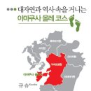 올레 이미지