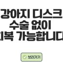 양양동물병원 이미지