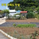 홍성공인중개사사무소 이미지