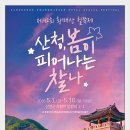 42모텔 | 산청 황매산 철쭉제 완전 정복 완벽 가이드: 개화시기·등산코스·셔틀버스 꿀팁 총정리