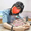 다옴플라워