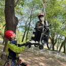 소소숲여행진행-온새미로숲학교사회적협동조합 주관(25.5.2) 이미지