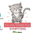 (주)푸른생활환경 이미지