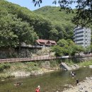 양산 내원사 계곡 스팟 아이와 함께 물놀이 올챙이 잡기