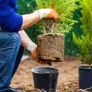 MOM’S GARDEN 이미지