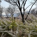 (주)햇빛나들이 이미지