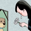 개팔자 상팔자 이미지