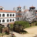 석화꽃무지 풀무지 유치원 이미지