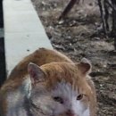 두류3동 이미지