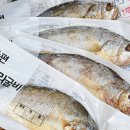조아굴비