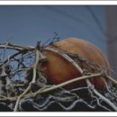 포구민박 이미지