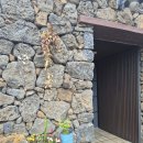 올리버 스테이 이미지