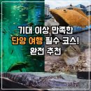 단양 어린이집 | 아이랑 단양 여행 필수 코스! 다누리 아쿠아리움 주차 꿀팁부터 심쿵 포인트까지 총정리