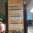 (주)에이케이레저 | [일상리뷰] 홍천 비발디파크 루지월드 이용 후기