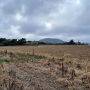 무릉1리마을회관 이미지