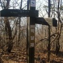 도리2리 이미지