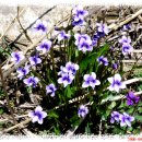 남양목장 이미지