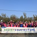 얼음골사과