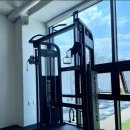 스텔라인핏 이미지