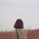 천안붙임머리손석주헤어 | #265 천안 미용실 천안붙임머리 손석주헤어 후기 / 내돈내산