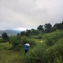 부흥묘지관리서비스 | 김포·강화 산소 벌초대행 가격, 18년 경력 대표가 직접 책임지며 비용 아껴주는 묘지관리 서비스 후기