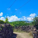 신효중앙로 이미지