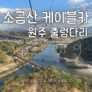진카정비센터 | 원주 소금산그랜드밸리 : 소금산 케이블카 요금 및 출렁다리 솔직 후기(+할인 정보)