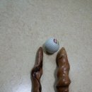 천수목 Daum카페