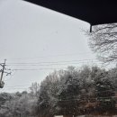 고고파티 | 고고다이브 2025 연말파티 후기