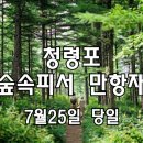 숲속 피서지, 만항재 야생화 + 청령포 + 솔고개 솔나무 이미지