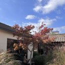 GS25 논공남리점 | 해바라기 만개 했던 논공 꽃단지, 논공 핫플 예쁜카페 "스몰버드"