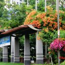 황명「분수·1」 이미지