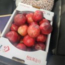 신비농산