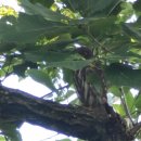 당포농장 이미지