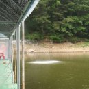 덕성낚시터 이미지