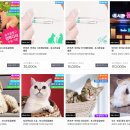 포시즌 동물병원 네이버블로그