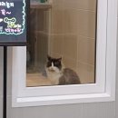 화목종합동물병원 네이버블로그