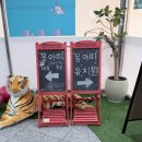 몽2호텔 | 해운대 강아지미용 몽아띠 솔직후기 │ 17살 노견 미용 + 실버푸들 (해운대 애견호텔·야간유치원)