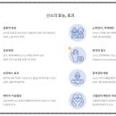 보은산소 네이버블로그