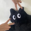 네일래피