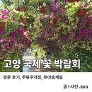 고양 국제 꽃박람회 방문 후기, 무료 주차장, 유아휴게실