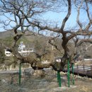 월출산장 호텔 이미지