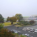 곡성-158 이미지